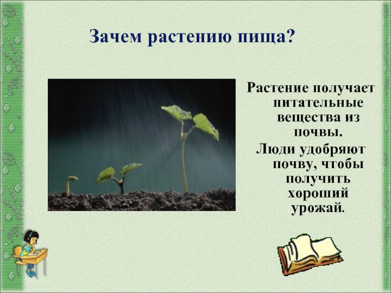 Зачем растениям почва. Все растения получают питательные вещества из почвы. Почему растения выше людей. Что надо взять из почвы человеку питательных веществ чтобы выжить.