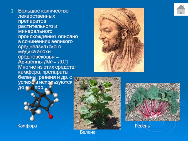 Тонкая нить растительного животного или минерального происхождения. Препараты минерального происхождения. Травы Авиценны. БАДЫ растительного, животного и минерального происхождения. Минеральное происхождение.