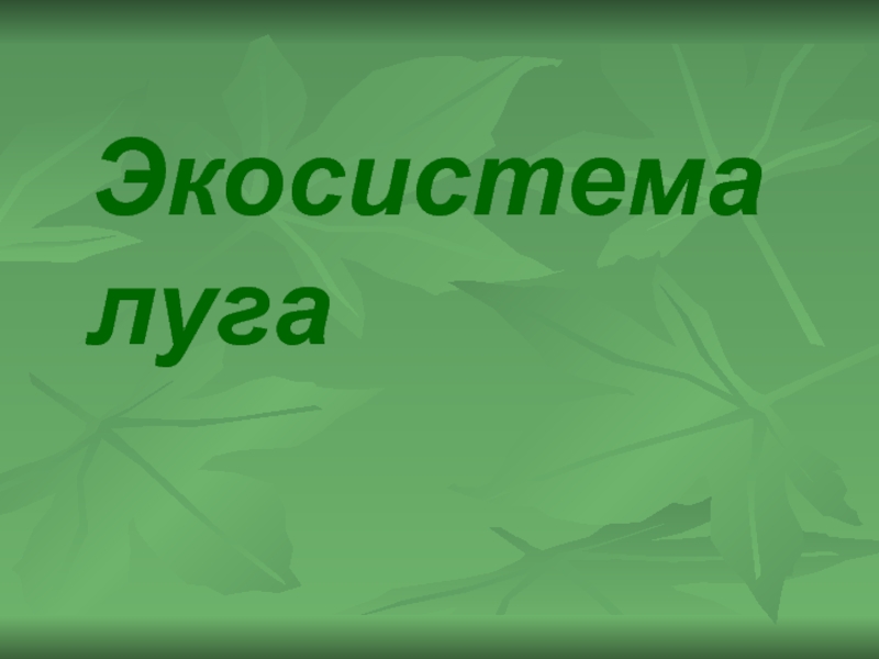 Экосистема луга презентация