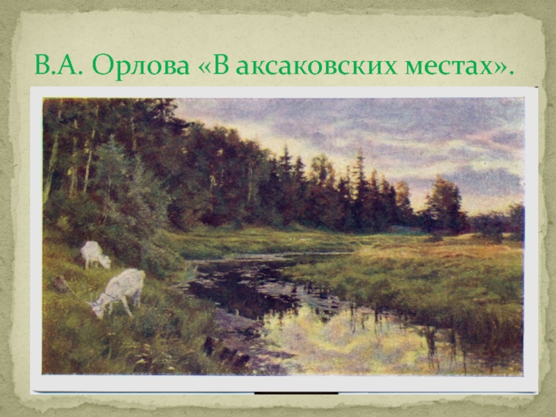 В.А. Орлова «В аксаковских местах».