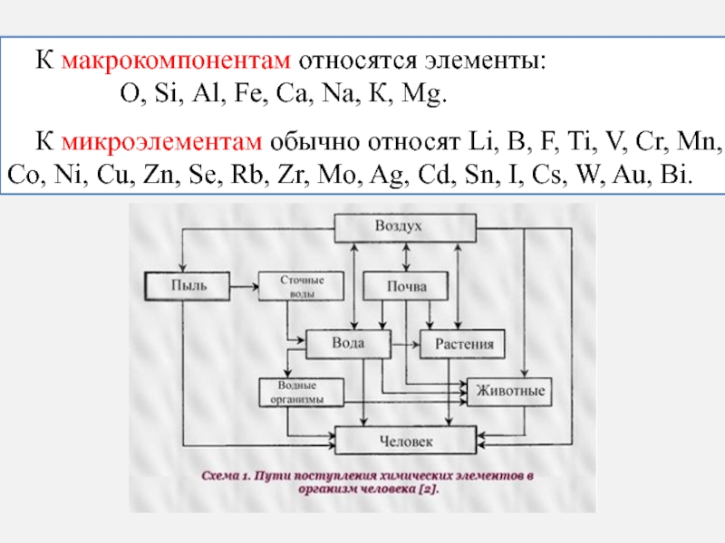 Из предложенных элементов