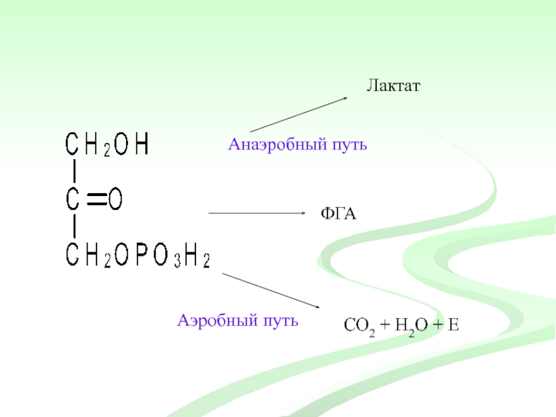 Лактат это. Лактат. Формула лактата. Образование ФГА. Лактат co2 h2o.