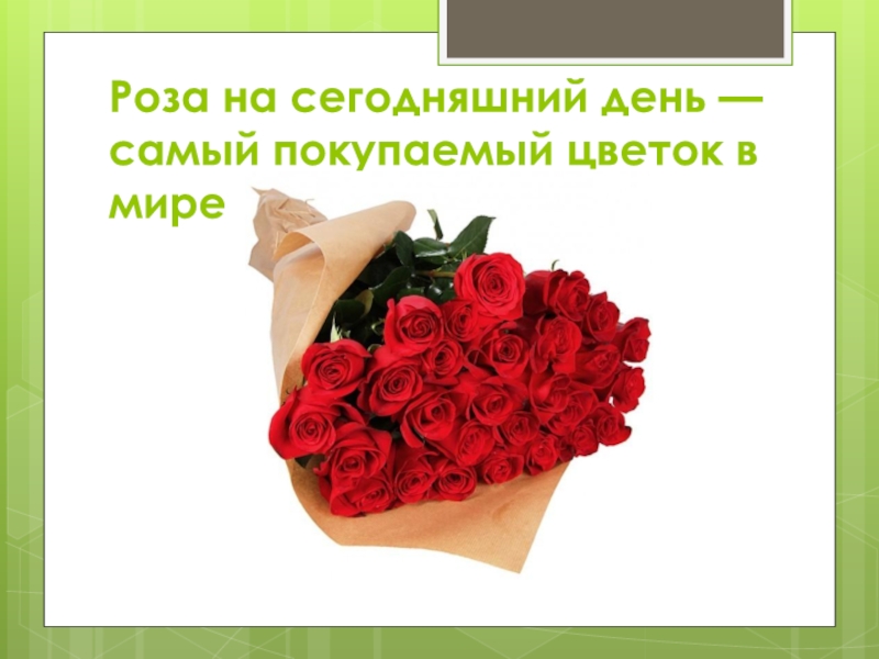 Роза на сегодняшний день — самый покупаемый цветок в мире
