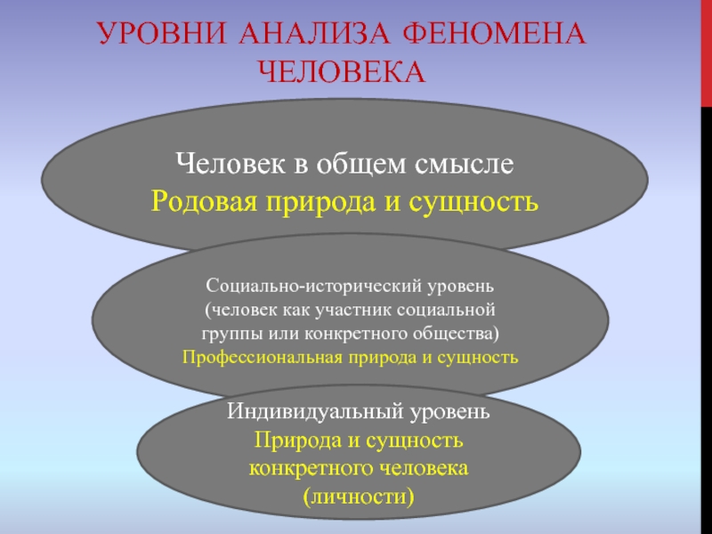 Исторический уровень. Уровни личности. Уровни людей в обществе. Уровни анализа общества. Уровни анализа текста.