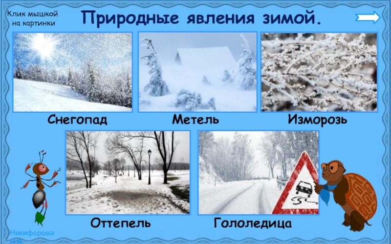 Природные изменения зимой. Явления зимы. Явления природы зимой. Явления природы зимой для детей. Сезонные явления зимы.