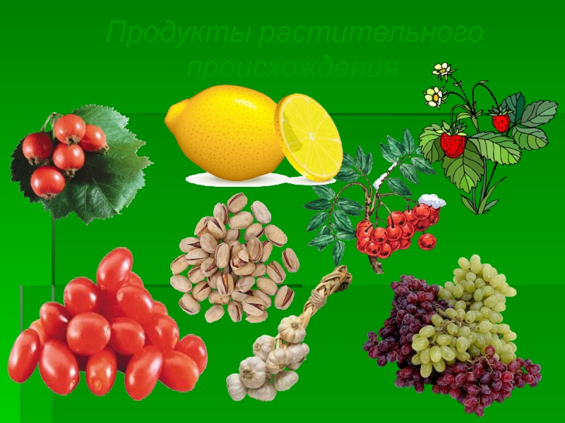 Отметь продукты растительного происхождения. Продукты растительного происхождения окружающий мир 2 класс.