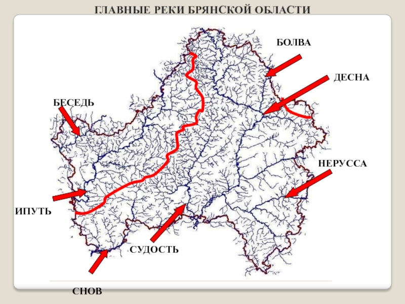 Главные реки Брянской области 6 класс