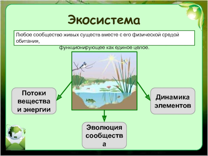 Презентация на тему водное сообщество