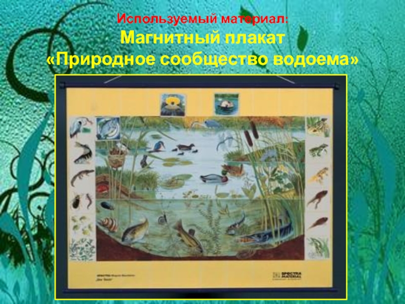 Презентация природное сообщество водоем 3 класс