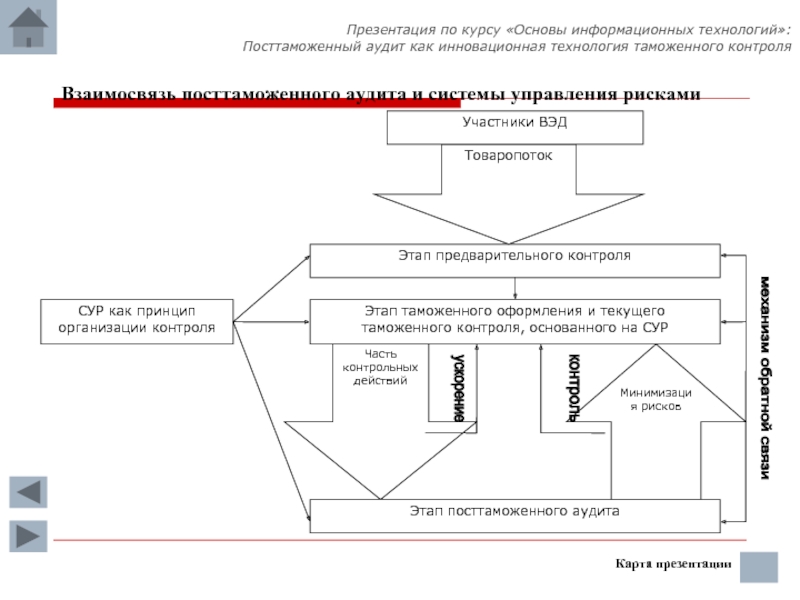 Информационные системы и таможенные технологии презентация