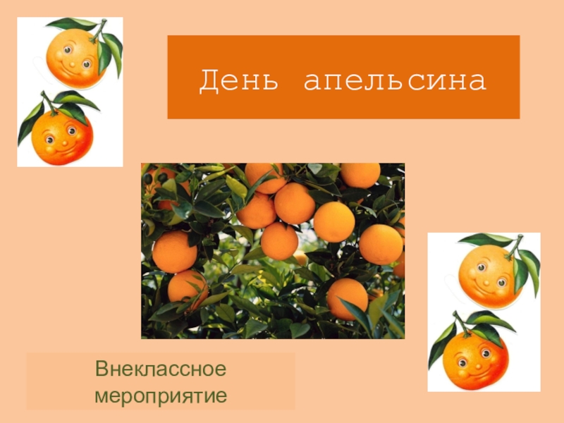 День апельсинов и лимонов 31