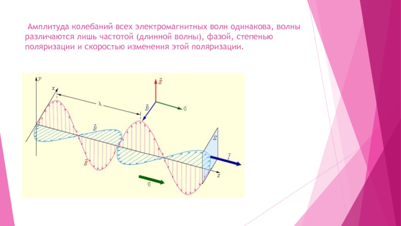 Амплитуда магнитного поля. Амплитуда электромагнитных колебаний. Амплитуда колебаний электромагнитных волн. Амплитуда электромагнитной волны. Амплитуда колебаний волны.