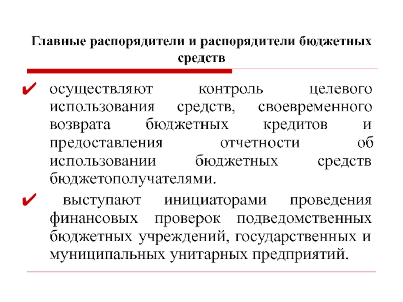 Бюджетный контроль презентация