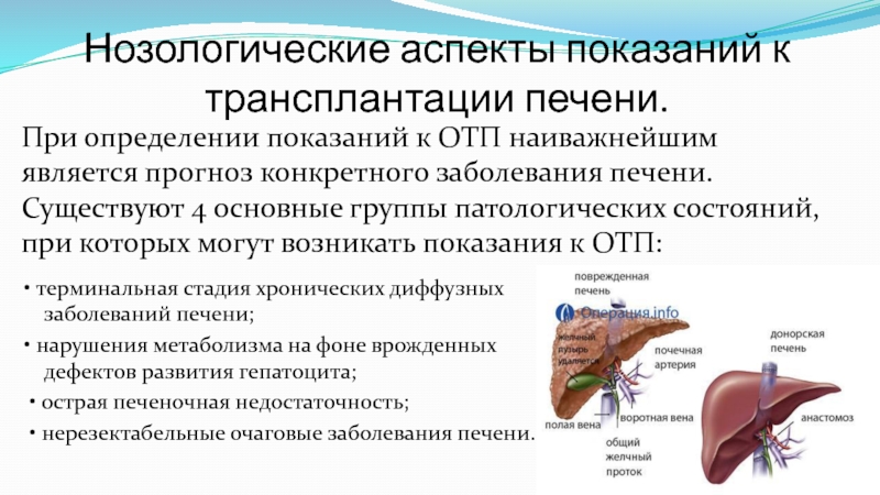 Можно пересадить печень. Трансплантация печени. Показания для пересадки печени. Трансплантация печени презентация.