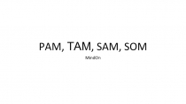 PAM, ТАМ, SAM, SOM