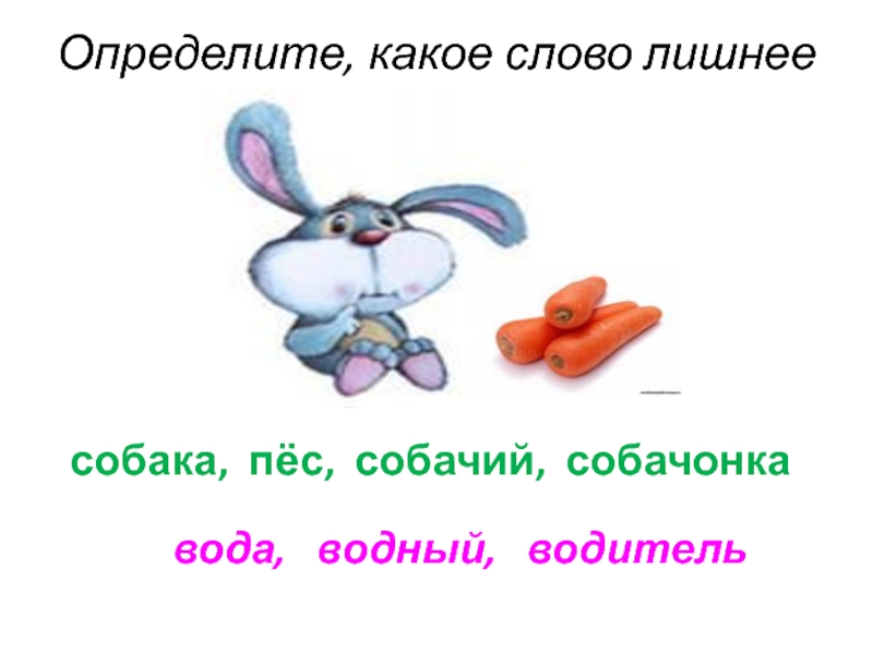 Заяц однокоренные слова. Собачка однокоренные слова. Водяной, вода, водить какое слово лишнее. Собачонка однокоренные слова. Корень в слове собачка собака.