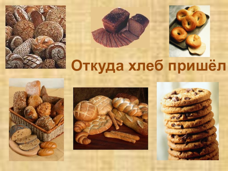 Откуда хлеб пришел