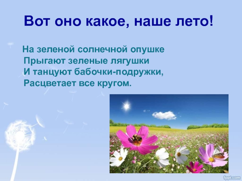 На зеленой солнечной опушке песня текст. Вот оно какое наше лето. Вот оно какое наше Летт. Вот оно какоемнаше лето. Лето вот оно какое наше лето.