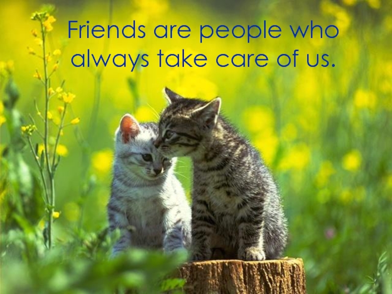 Friends are people who always take care of us.