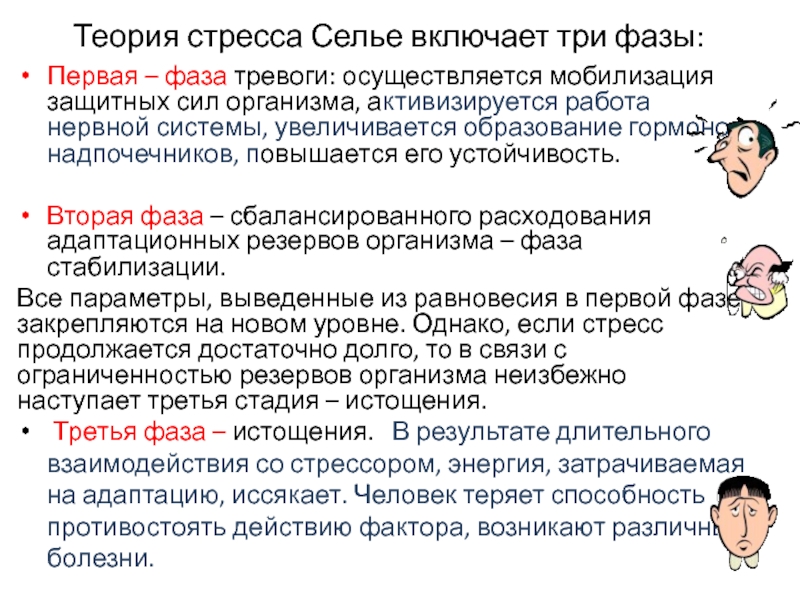 Контрольная работа: Концепция стресса Г Селье и общий адаптационный синдром