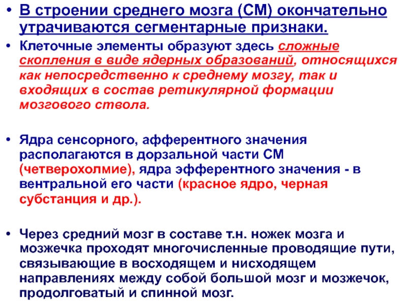 Средний стр. Анатомия среднего специального образования. Невзоров физиология головного мозга.