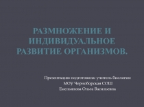 Размножение и индивидуальное развитие организмов