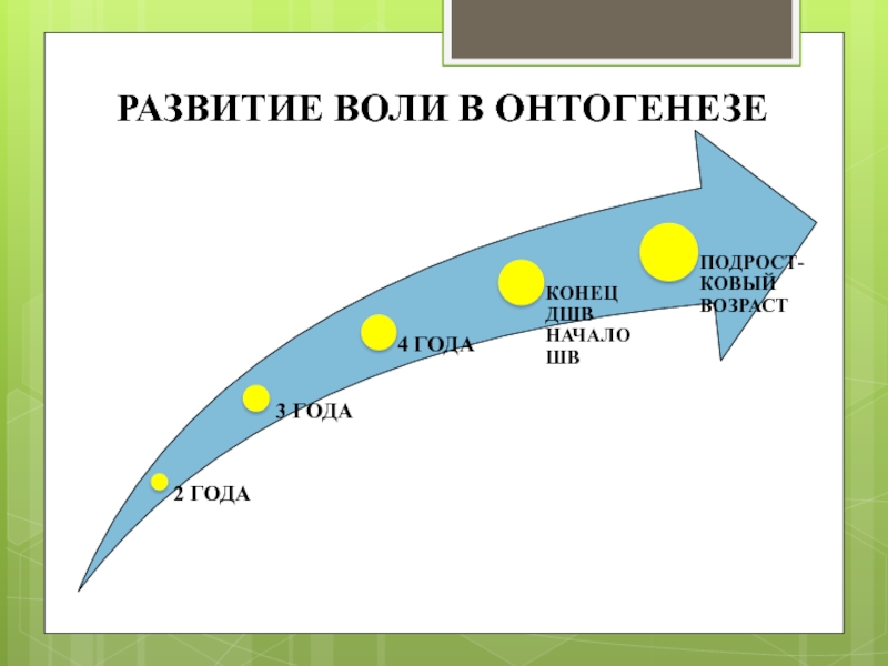 Развития 13. Ковый Возраст.