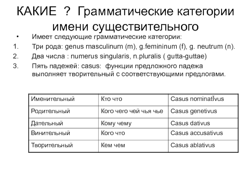 Категории имени существительного в латинском языке