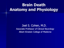 Brain Death Anatomy and Physiology