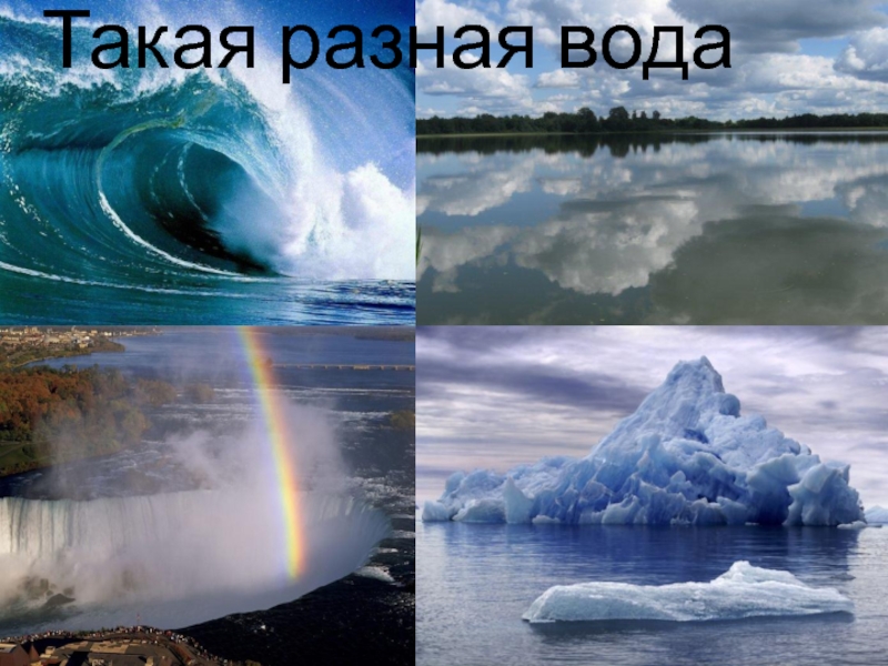 Роса состояние воды. Такая разная вода. Вода в разных состояниях. Три состояния воды в природе. Различные состояния воды в картинках.