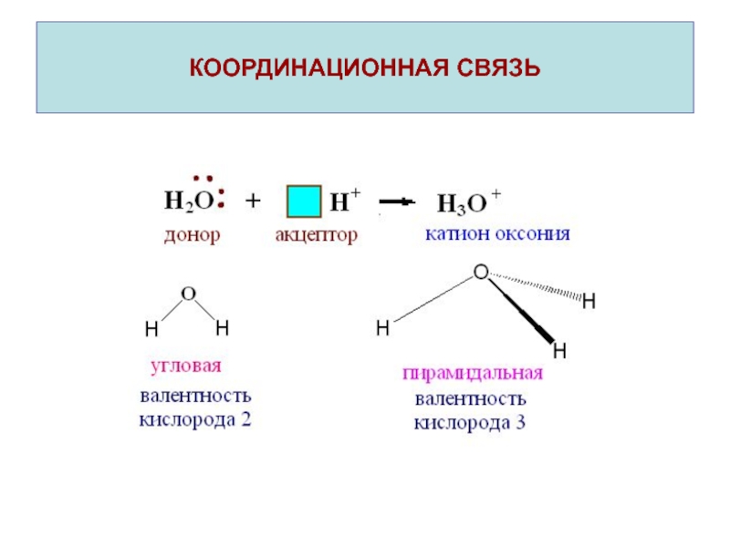 Координационная связь схема