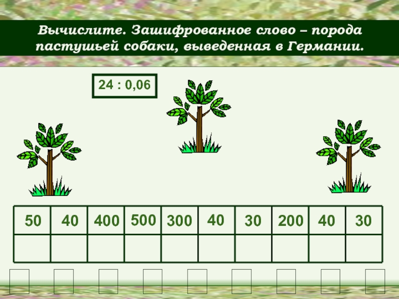 Презентация Математическая игра «Порода пастушьей собаки»