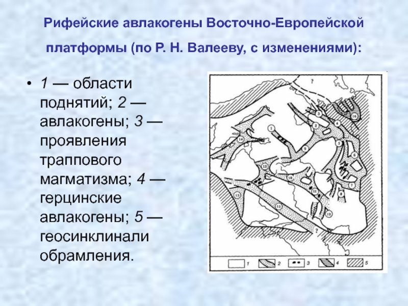 Восточно европейская платформа. Пачелмский авлакоген. Рифейские авлакогены Восточно-европейской платформы. Яренский авлакоген. Строение Восточно европейской платформы.