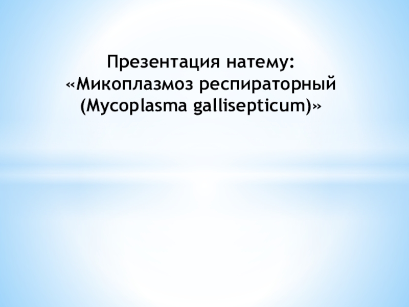 Презентация натему : Микоплазмоз респираторный (Mycoplasma gallisepticum )