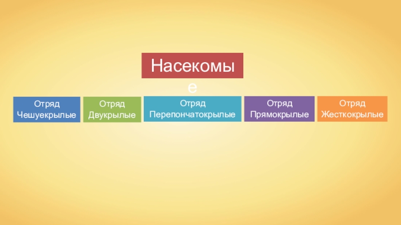 Насекомые
Отряд
Чешуекрылые
Отряд
Двукрылые
Отряд
Перепончатокрылые
Отряд
П