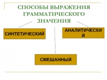 СПОСОБЫ ВЫРАЖЕНИЯ ГРАММАТИЧЕСКОГО ЗНАЧЕНИЯ