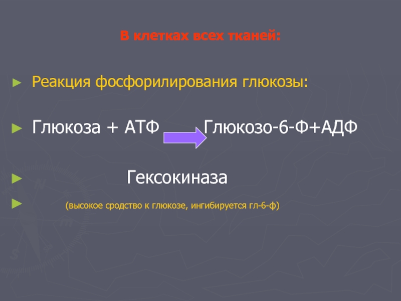 Реакция в тканях. Реакция фосфорилирования Глюкозы. Реакция фосфорилирования АДФ. Реакция фосфорилирования Глюкозы в клетке. Глюкоза + АТФ.