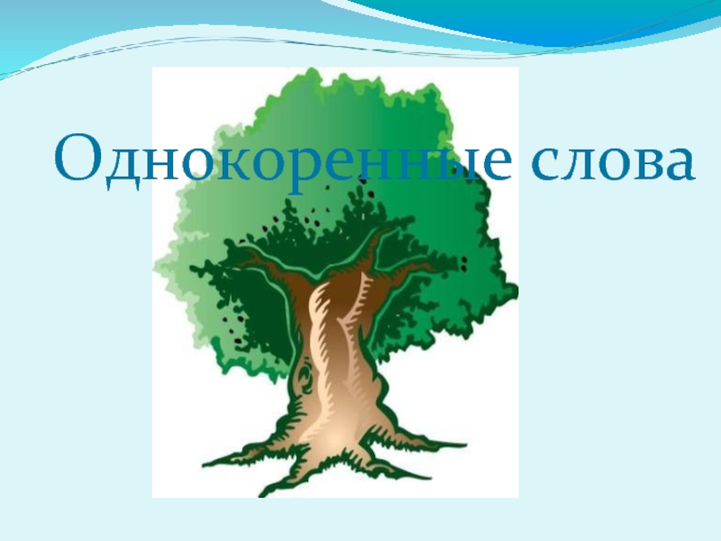 Презентация словарь однокоренных слов 2 класс