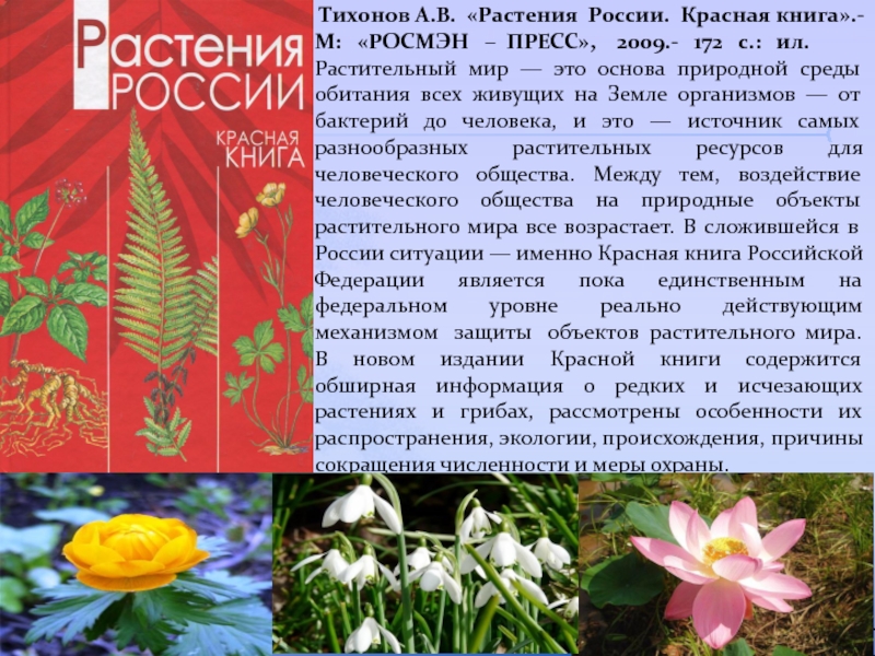 Красная книга россии растений фото и описание