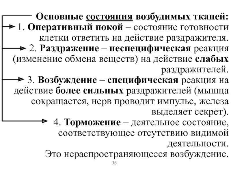 Понятие возбудимости тканей. Основные состояния возбудимых тканей физиология.