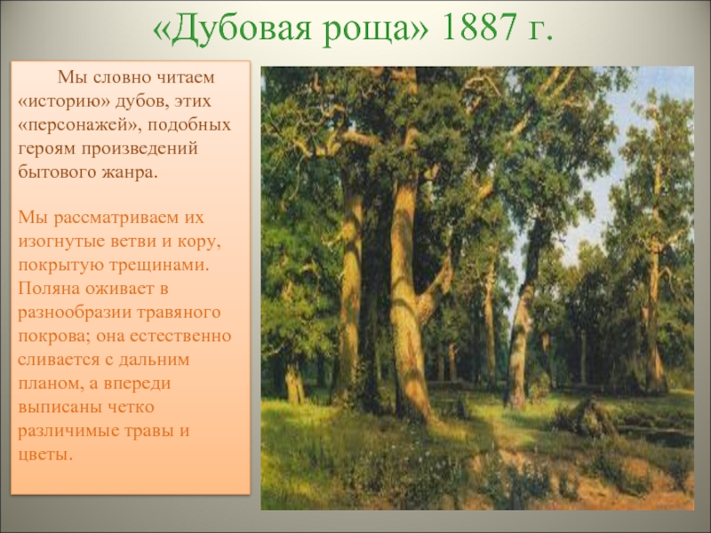 «Дубовая роща» 1887 г.    Мы словно читаем «историю» дубов, этих «персонажей», подобных героям произведений