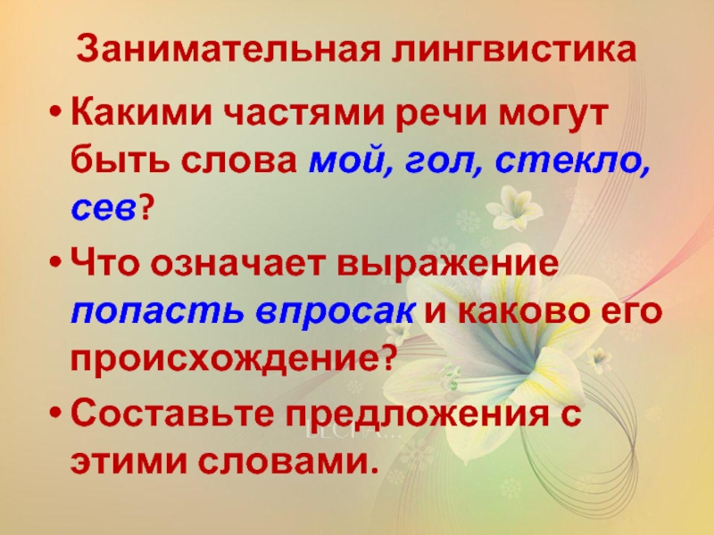 Что значит сев. Занимательная лингвистика. Какой частью речи может быть слово что. Какими частями речи могут быть слова мой. Какая часть речи слово мой.