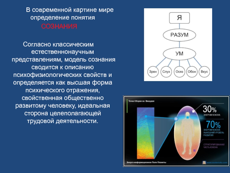 Кратко современная естественнонаучная картина мира