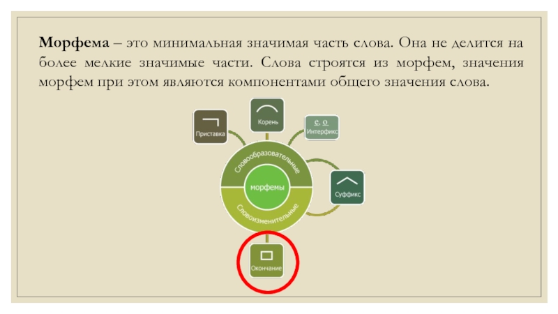 Определенная морфема. Минимальная значимая часть слова. Морфема минимальная значимая часть слова. Морфемика-значимая часть слова. Морфема значимая часть.