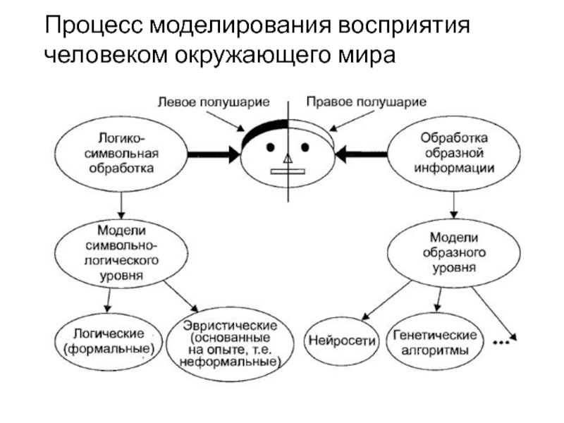 Восприятие человека это окружающий мир