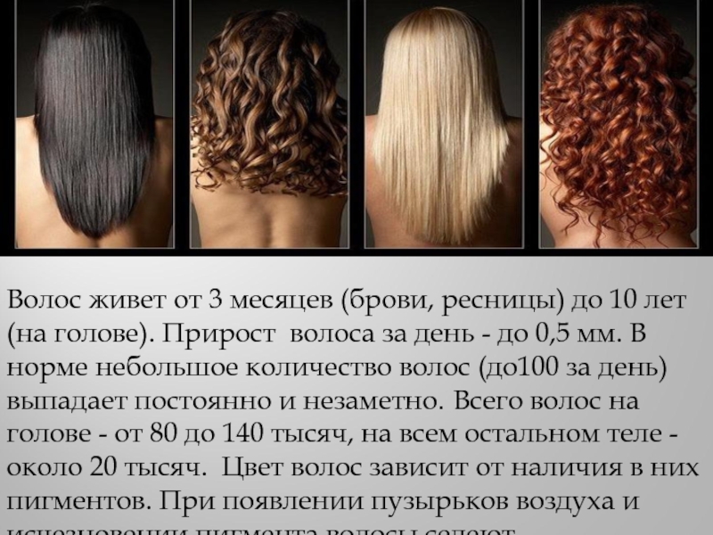 Какое значение имеют волосы на голове