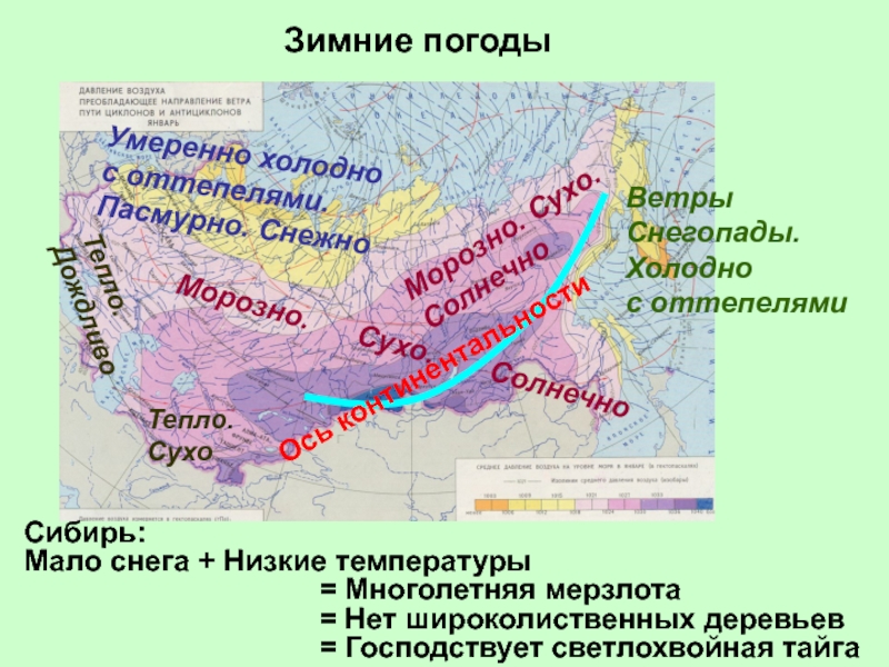 Холодный н н. Физико-географические факторы. Физико-географическая дифференциация. Критерии физико географические термина. Дифференциация от территориальный климатических условиях.