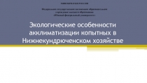 Экологические особенности акклиматизации копытных в Нижнекундрюченском хозяйстве