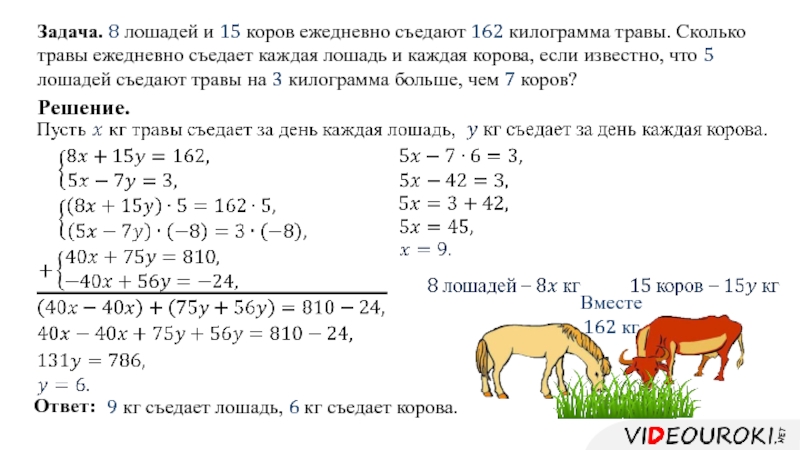 Собака 3 лошадь 5. Задача про лошадей. Задачи с помощью систем уравнений. Математические задачи про коров. Математические задачи о лошадях.