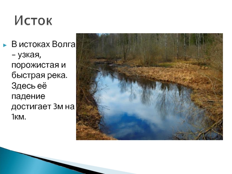 В истоках Волга - узкая, порожистая и быстрая река. Здесь её падение достигает 3м на 1км.